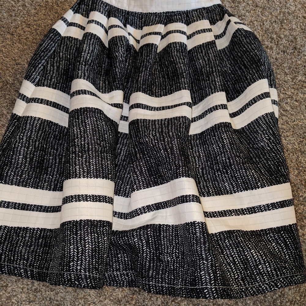 Lulu's Full skirt